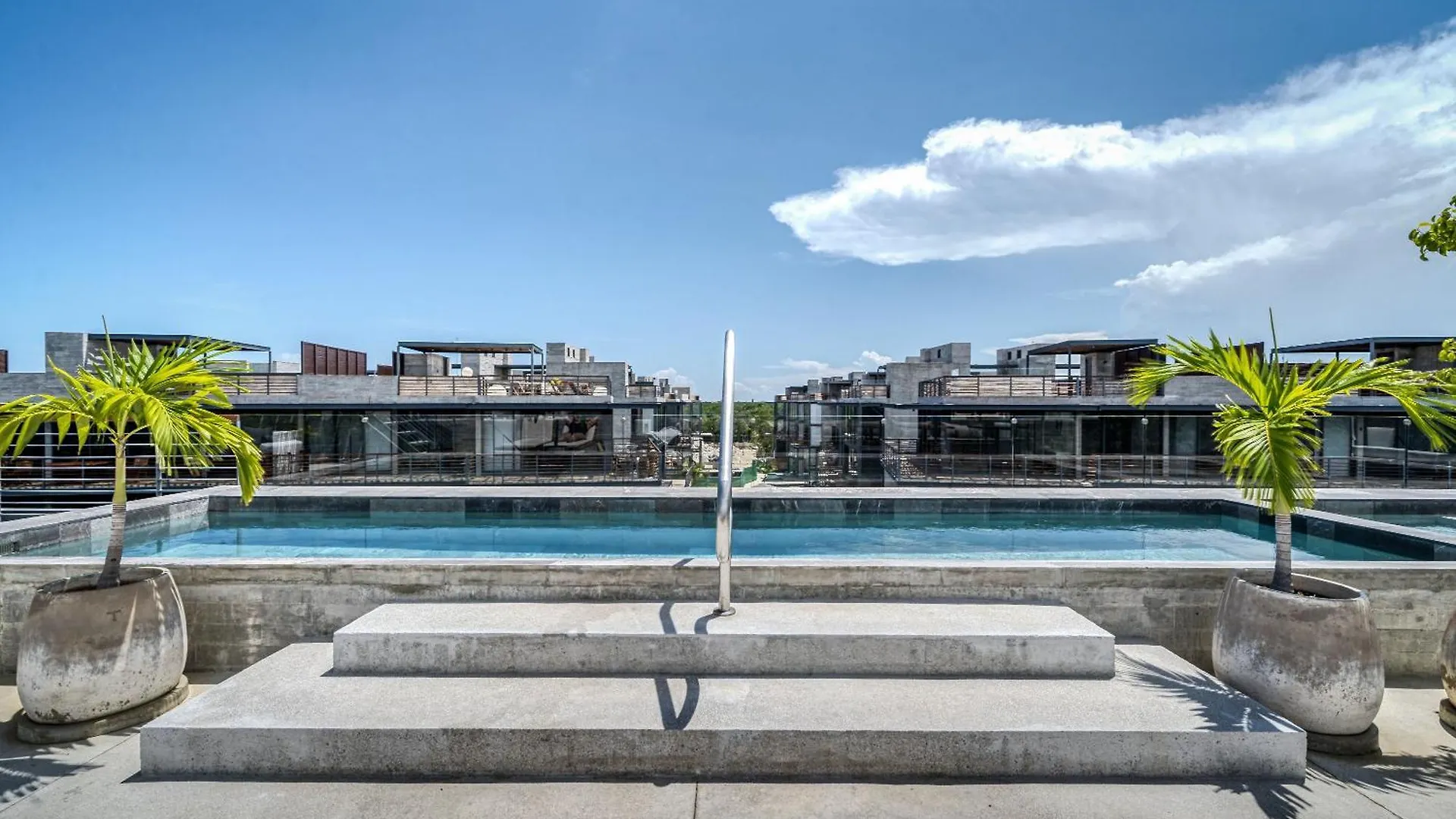 图卢姆Stunning 1Br With Jacuzzi Cenote公寓 图卢姆
